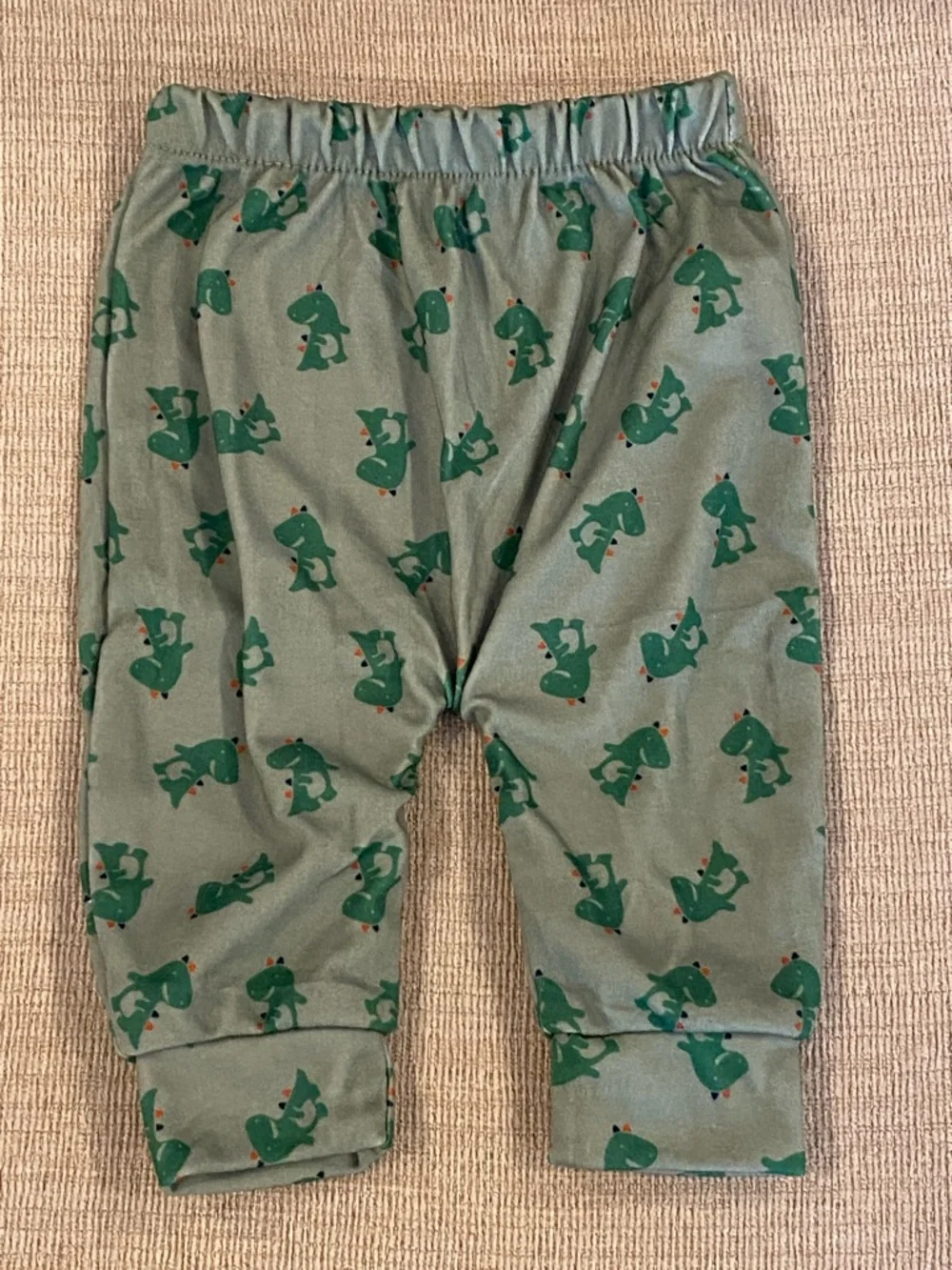 Dinosaur Pants